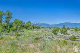 16 S Remuda Run Dr MLS #2093683