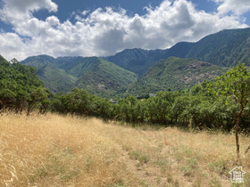 98  Lone Hollow Dr MLS #2094031