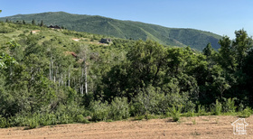 218  Bear Tooth Ridge Rd MLS #2094183