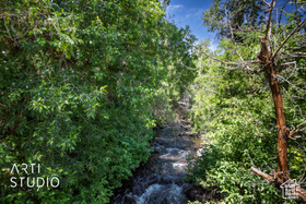 Photo 4 for 6481 N Fork Rd #N