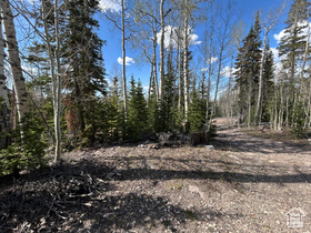 Photo 6 for 468 E Trail Rd