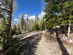 Photo 5 for 468 E Trail Rd
