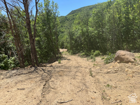 29  L Birch Creek Dr MLS #2095089