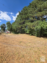 Photo 6 for 1700 E 3300 South