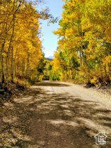 11457 E Marigold Ln MLS #2096061