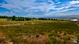 22715 N 1205 E MLS #2096117