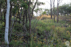 1421 S Beaver Bench MLS #2096165