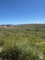 3530 S Long Ridge Cir. MLS #2096495