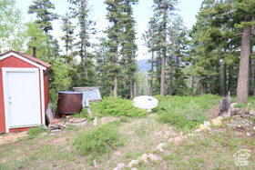 Photo 5 for 6240 W Grizzly Ln
