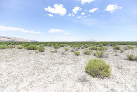 Address Not Available MLS #2097530