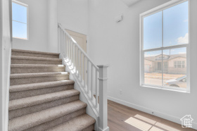 Photo 5 for 557 N Buffalo Grass Ln