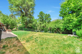 Photo 4 for 4790 Burch Dr