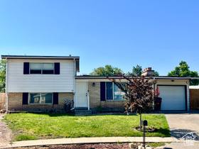 Photo 1 for 3917 S David Pl