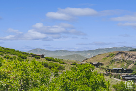 9233  Spotted Owl Ct MLS #2098925