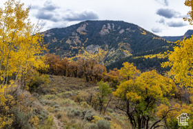 672  Carson Ln MLS #2099702