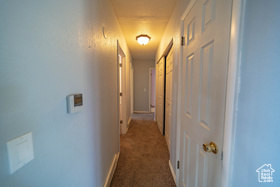 Photo 5 for 703 N Windsor Cir