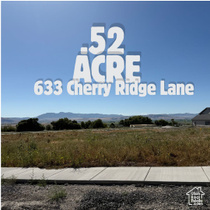 633  Cherry Ridge Ln MLS #2101550