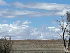 Address Not Available MLS #2101923