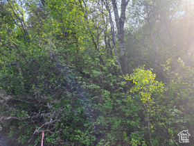 6151  Creekside Dr MLS #2102240