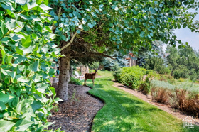 Photo 4 for 1172 N Turnberry Woods Dr