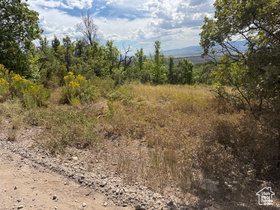 33  M Juniper Dr MLS #2104544