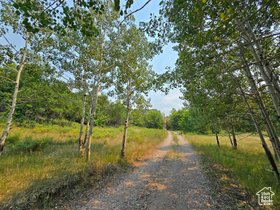 Photo 4 for 725 E Wolf Hollow Rd