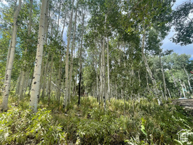 11485  Violet Way MLS #2105043