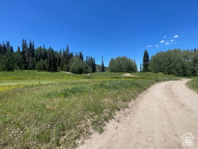 Address Not Available MLS #2105187