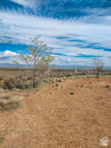 Address Not Available MLS #2105537
