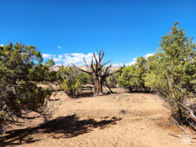 Address Not Available MLS #2105658