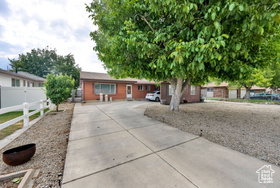 Photo 4 for 7436 S Launa St