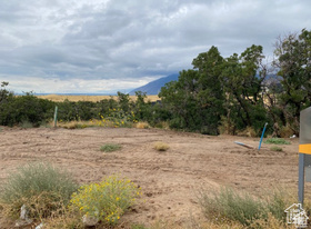 288 E Mapleton Estates Dr MLS #2106432