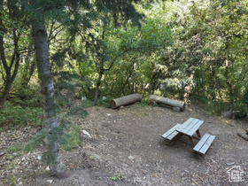 Photo 4 for 49 N Pine Creek Rd