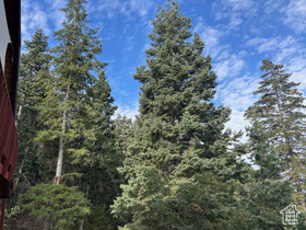 Photo 6 for 49 N Pine Creek Rd