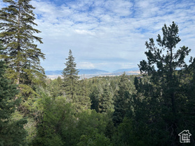 Photo 5 for 49 N Pine Creek Rd