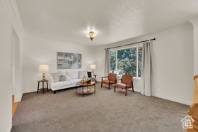 Photo 2 for 849 W 225 South