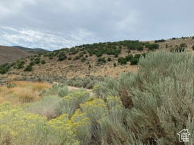 29151  Old Lincoln Hwy MLS #2107298