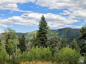 33  Pine Ridge Estates Dr MLS #2107406