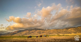 74  Hunter Rd MLS #2107528