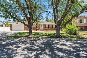 Photo 3 for 8843 S Capernaum Rd