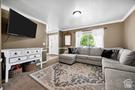 Photo 5 for 74 Canterbury Cir