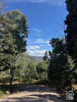 23215 N Deer Valley Dr MLS #2108187