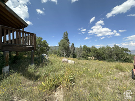 Photo 4 for 2230 S Porcupine Cir