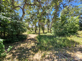Photo 5 for 31 Juniper Dr #31