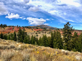 1745 W Cedar Ridge Dr MLS #2109942