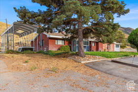 Photo 2 for 599 Canyon Rd