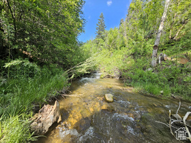 Photo 2 for 26 Birch Creek Dr #D26