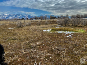 3158 W North Plain City Rd MLS #2110508