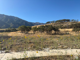 1605 S 920 E MLS #2110573