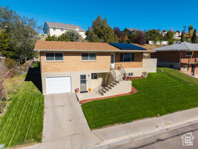 Photo 5 for 816 Park Ln